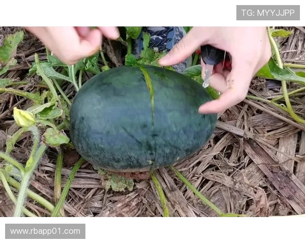 涓浗濂虫帓棣欐腐绔欏悗鎺掑悕鎴栬繋鍏抽敭杞姌锛屼袱杩炶儨濂犲畾绋冲浐鍩虹